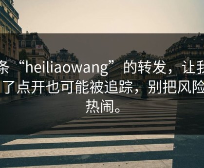一条“heiliaowang”的转发，让我明白了点开也可能被追踪，别把风险当热闹。