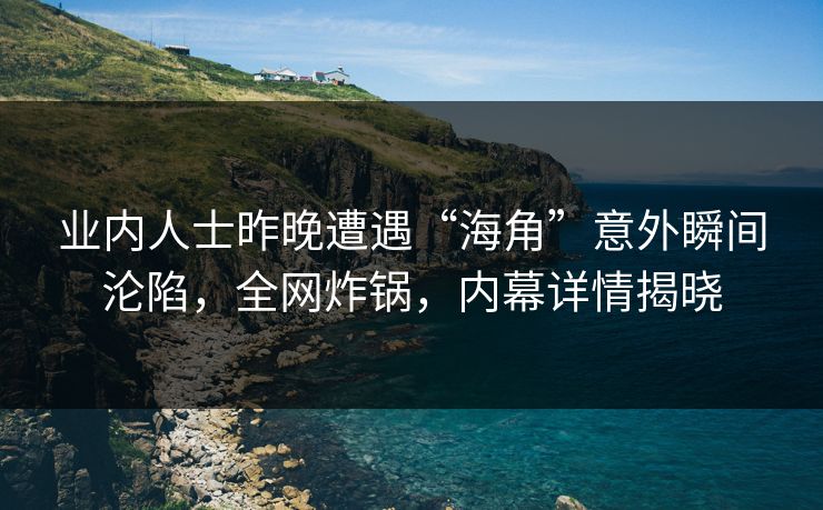 业内人士昨晚遭遇“海角”意外瞬间沦陷，全网炸锅，内幕详情揭晓